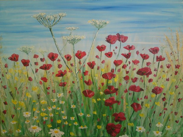 gallery/poppy field